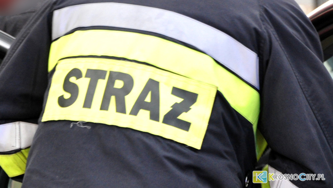 zdjęcie ilustracyjne