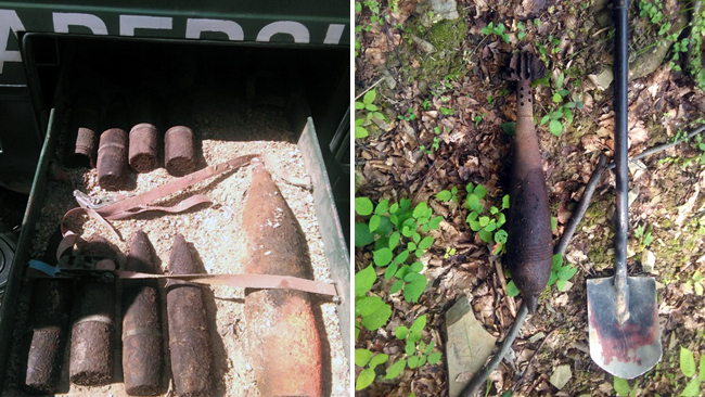 Fot. Michał Zygarowicz