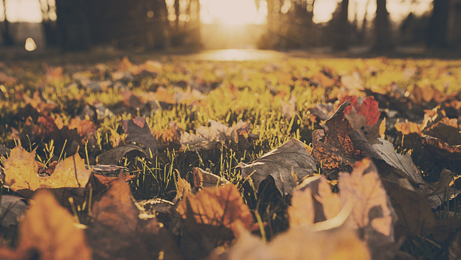 Od soboty zrobi się jesiennie. Będzie sporo niskich chmur, widzialność spadnie, może słabo popadać.