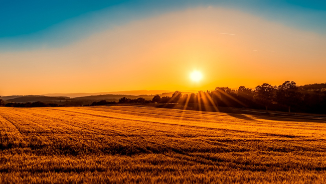 Środa z nocą tropikalną i upalnym dniem, nie zabraknie słońca. Powietrze zwrotnikowe na razie nas nie opuści.