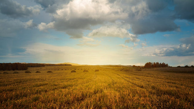 Napłynie ciepłe powietrze z południa i południowego zachodu. W końcówce tygodnia będzie ciepło.