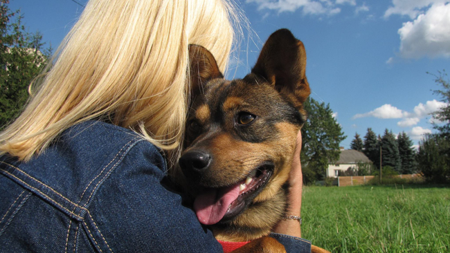 Fot. OTOZ Animals Krosno