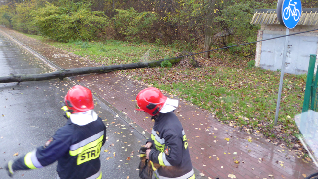 Fot. archiwum KM PSP w Krośnie