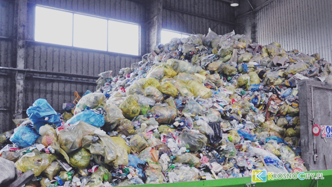 zdjęcie ilustracyjne