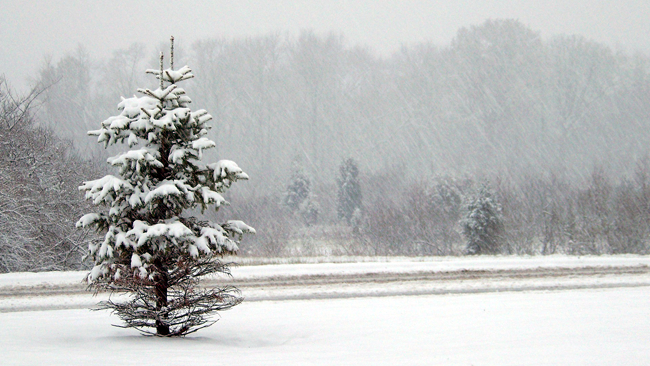 zdjęcie ilustracyjne
