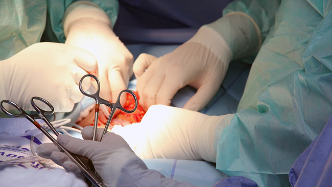 zdjęcie ilustracyjne