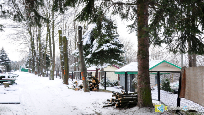 Fot. Piotr Dymiński