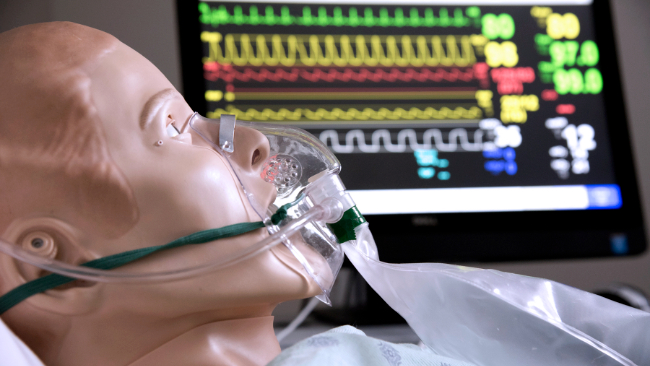 Fot. archiwum PWSZ Krosno