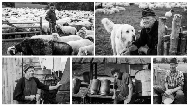 Fot. Szymon Muszański