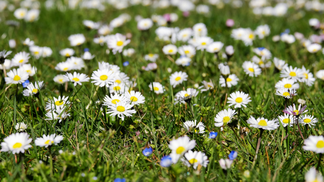 W poniedziałek ciepło, przez większość dnia bezchmurnie. Zanotujemy nawet 22°C!