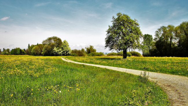 Początek weekendu słoneczny, od soboty coraz cieplej. W niedzielę gorąco, jednak może też popadać i zagrzmieć.