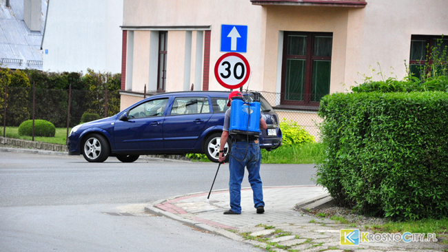 zdjęcie ilustracyjne