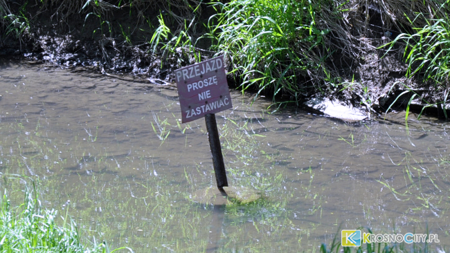 Fot. Piotr Dymiński