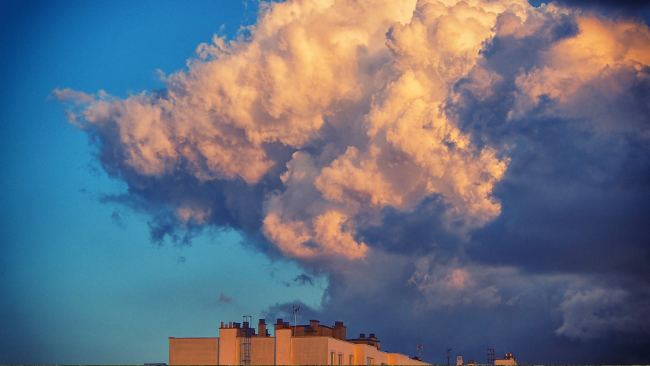 zdjęcie ilustracyjne