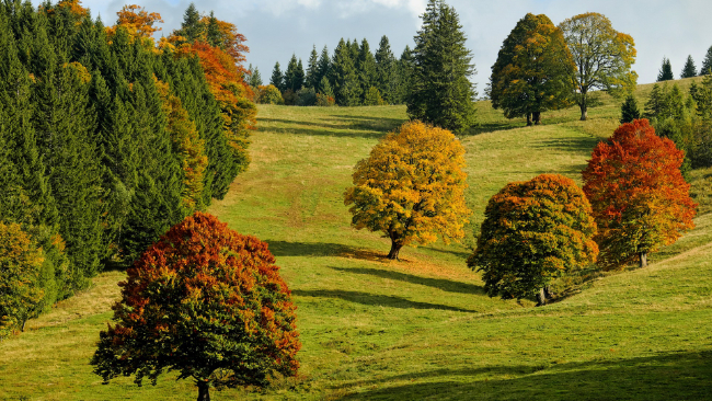 W środowe i czwartkowe popołudnie bardzo ciepło, miejscami nawet gorąco. Będzie słonecznie.