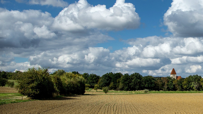 zdjęcie ilustracyjne