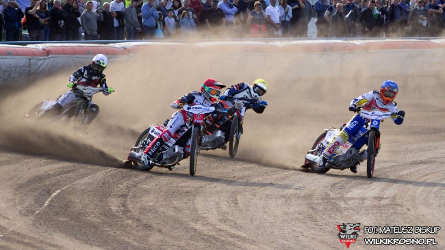 Fot. Mateusz Biskup / wilkikrosno.pl