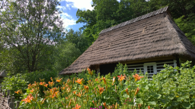 Fot. Marek Gransicki