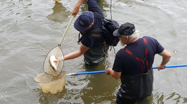 Fot. archiwum Państwowe Gospodarstwo Wodne Wody Polskie