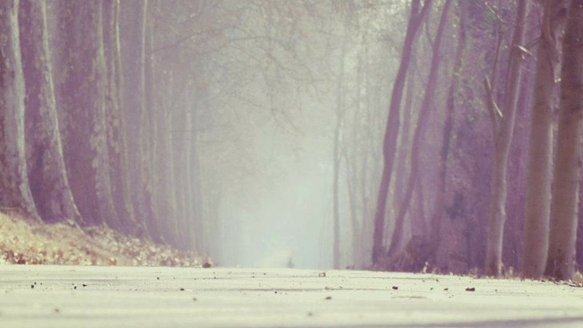 W środę w powietrzu smog, poranek pochmurny i mglisty. Czwartek zaś niemal bezchmurny i anomalnie ciepły.