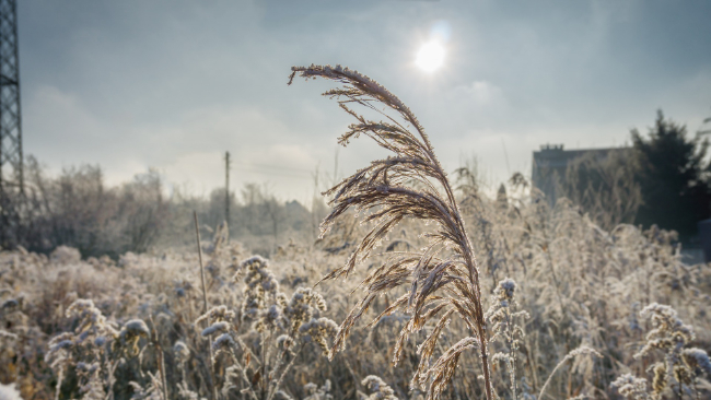 Od czwartku wieczór do piątku rano powietrze będzie mocno zanieczyszczone! Od niedzieli znaczny i szybki wzrost ciśnienia.