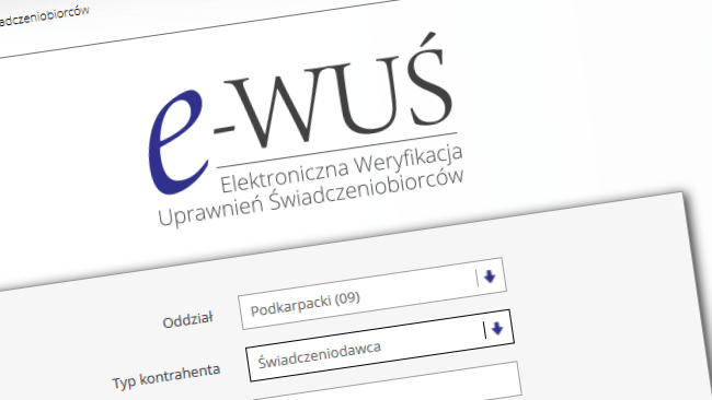 zdjęcie ilustracyjne