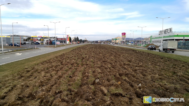 Przy ulicy Bieszczadzkiej - w pasie zieleni powstanie Pole słonecznikowe.