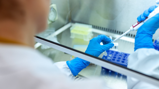 zdjęcie ilustracyjne