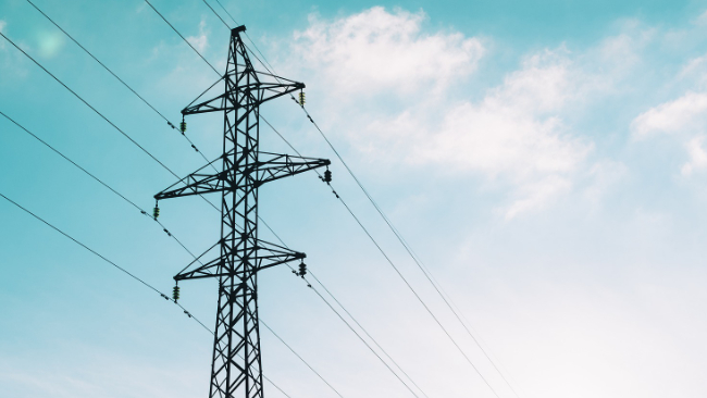 zdjęcie ilustracyjne