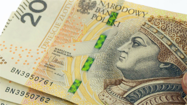 zdjęcie ilustracyjne