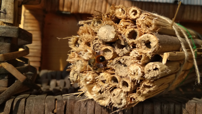 Fot. archiwum / KrosnoSfera