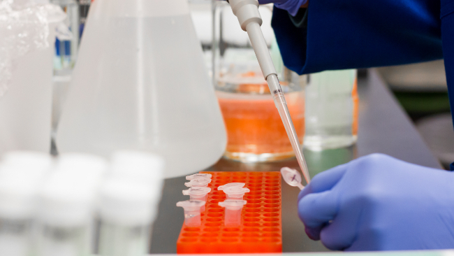 zdjęcie ilustracyjne