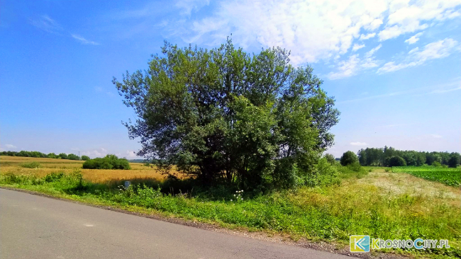 Na tej działce ma powstac nadajnik GSM.