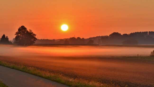 Weekend ciepły i parny, szczególnie niedziela. Nocami i o porankach będą tworzyć się mgły.