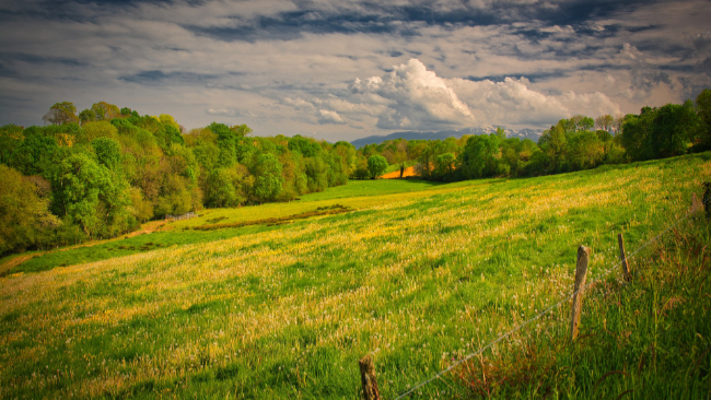 Cały najbliższy weekend będzie wyżowy. Koniec tygodnia bez opadów, niedziela bardzo ciepła i słoneczna.