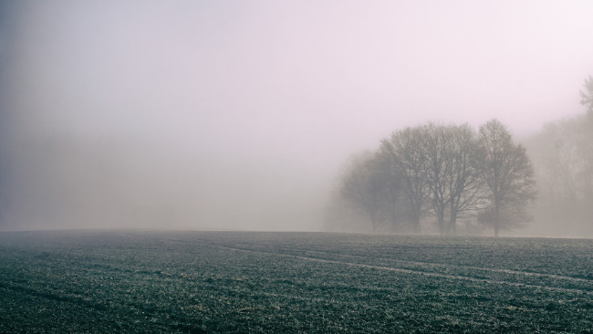 Najbliższe dni dosyć ciepłe, ale noce i poranki z gęstymi mgłami oraz bardzo zanieczyszczonym powietrzem.