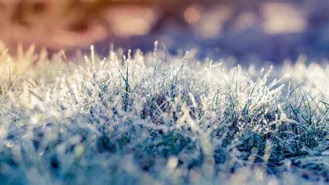 Weekend przyniesie pierwsze jesienne przymrozki. Najsilniejsze w sobotę wieczorem, będzie poniżej -2°C.