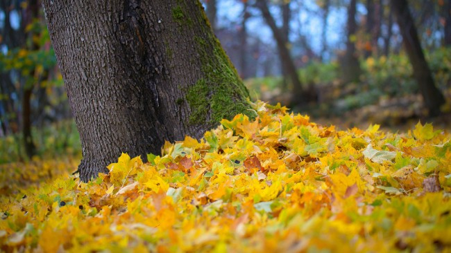 Niż przyniesie nam niewielką, ale jednak poprawę pogody. W niedzielę na termometrach do 9°C.