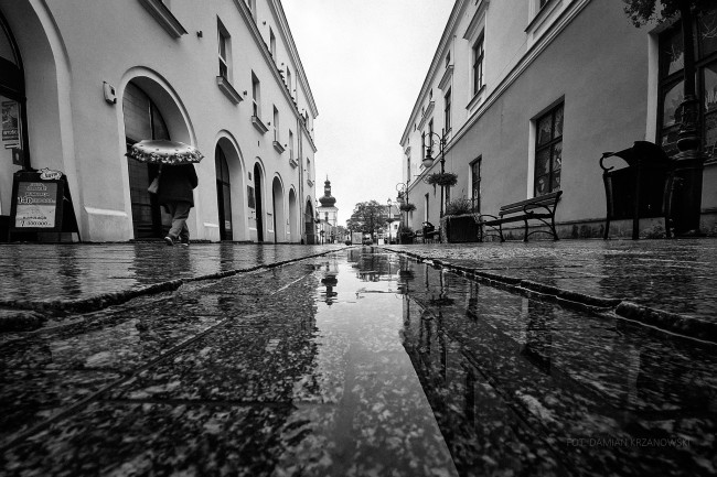Fot. Damian Krzanowski