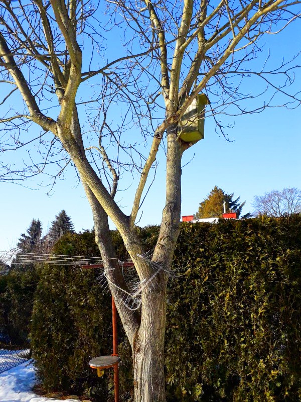 Fot. archiwum "Zielone Krosno"