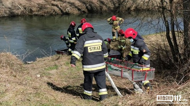 Fot. Krosno112.pl