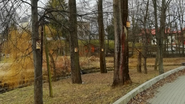 Fot. archiwum UM Krosno