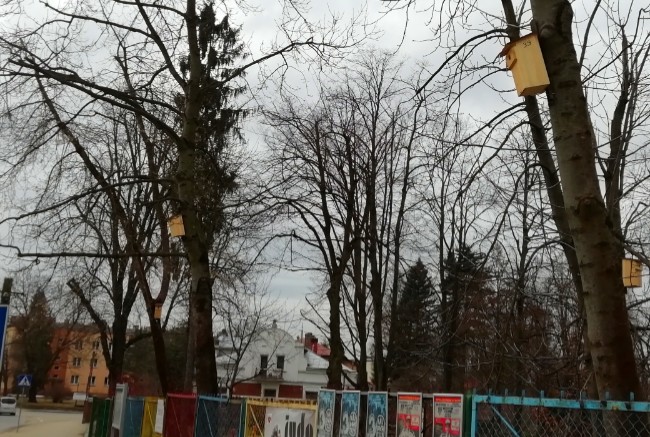 Fot. archiwum UM Krosno