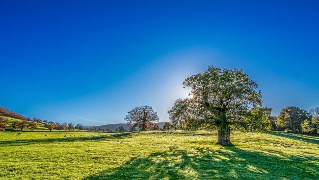 W najbliższych dniach do Polski napłynie gorące powietrze z południa. We wtorek po południu będzie 26°C.