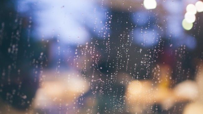 Poniedziałek przyjemny, we wtorek duże zachmurzenie i okresami deszcz. Umiarkowanie ciepło.