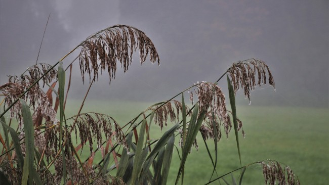 W środku tygodnia wysokie ciśnienie, ale chmur okresami wciąż sporo. Nadal maksymalnie kilkanaście stopni.