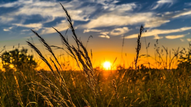 W poniedziałek i wtorek ciepło, popołudniami do 25°C. Na niebie tylko niegroźne chmury kłębiaste.