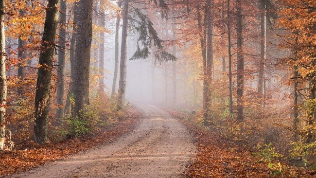 W środę i czwartek uważajmy na silny i porywisty wiatr! Noce będą ciepłe, a w ciągu dnia maksymalnie 14°C.