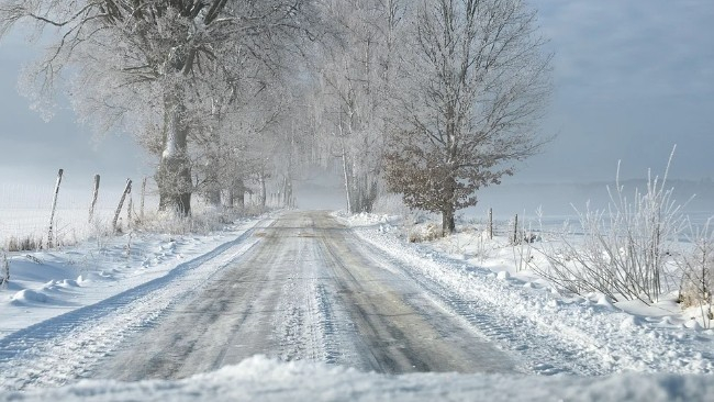 zdjęcie ilustracyjne