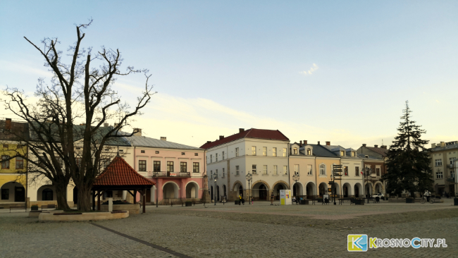 zdjęcie ilustracyjne